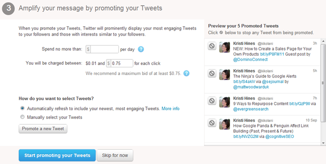 twitter advertising setup promoted tweets budget selection
