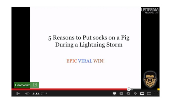 pig lightning socks