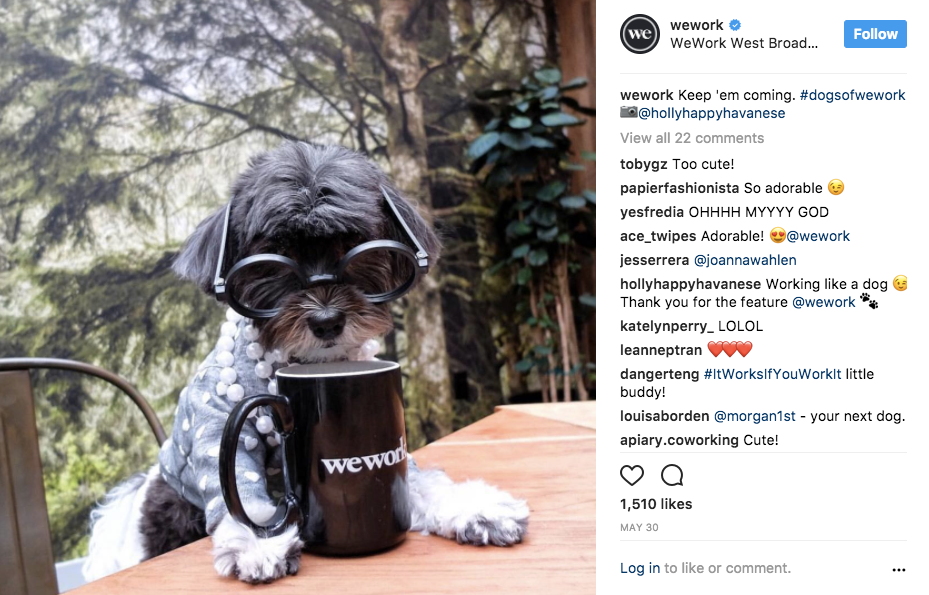 dogsofwework Instagram photos and videos