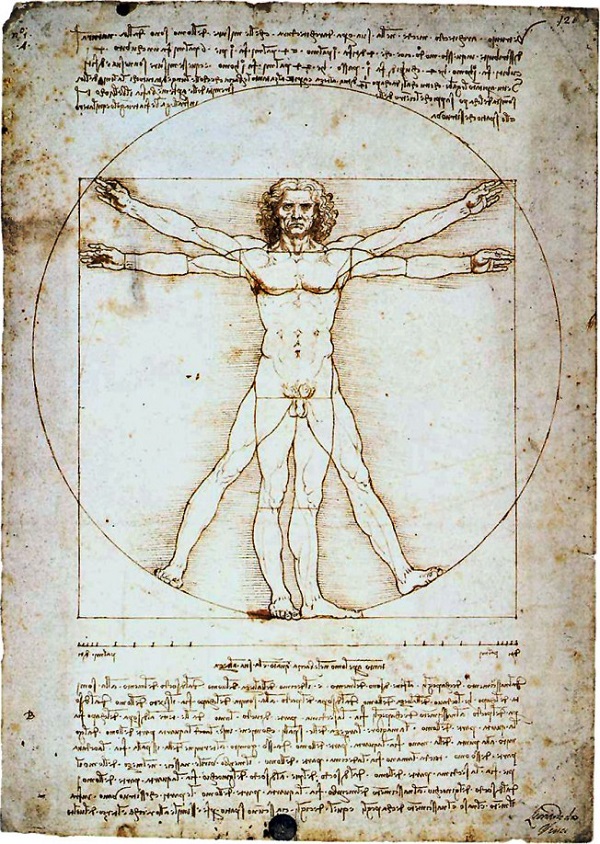infográfico de Leonardo da Vinci