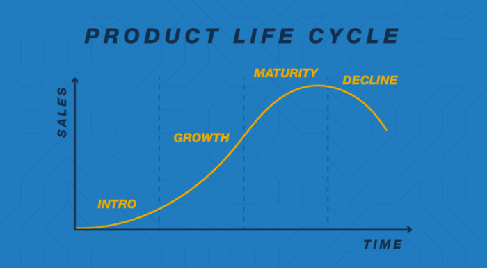 5 fases do ciclo de vida do produto