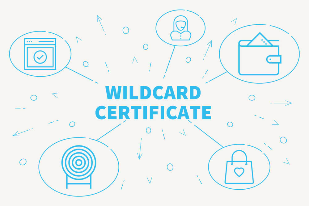 ilustração com título de WildCard Certificate