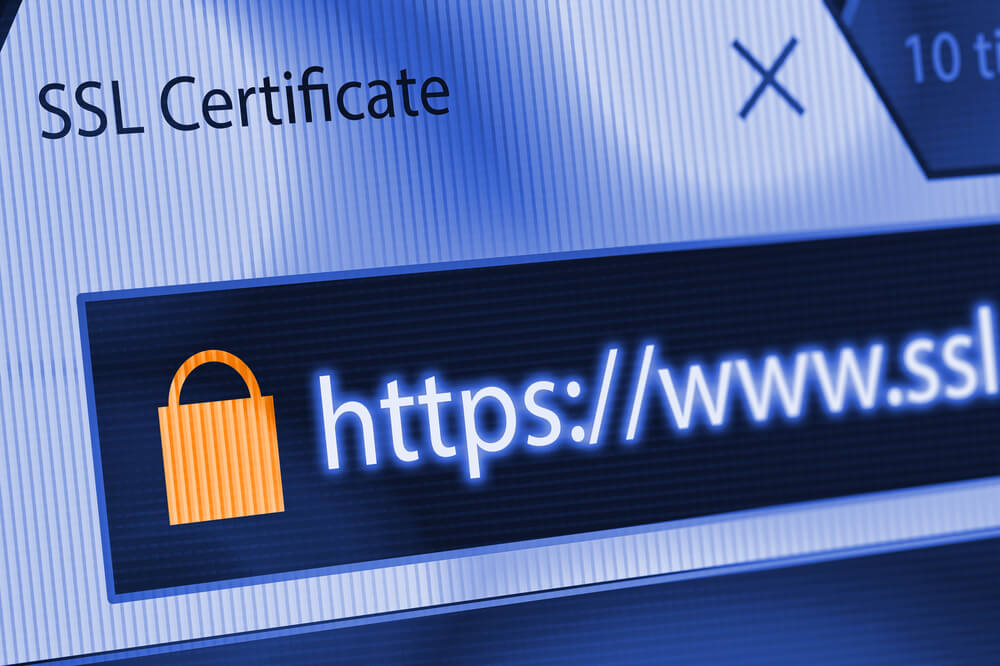 janela de SSL Certificate