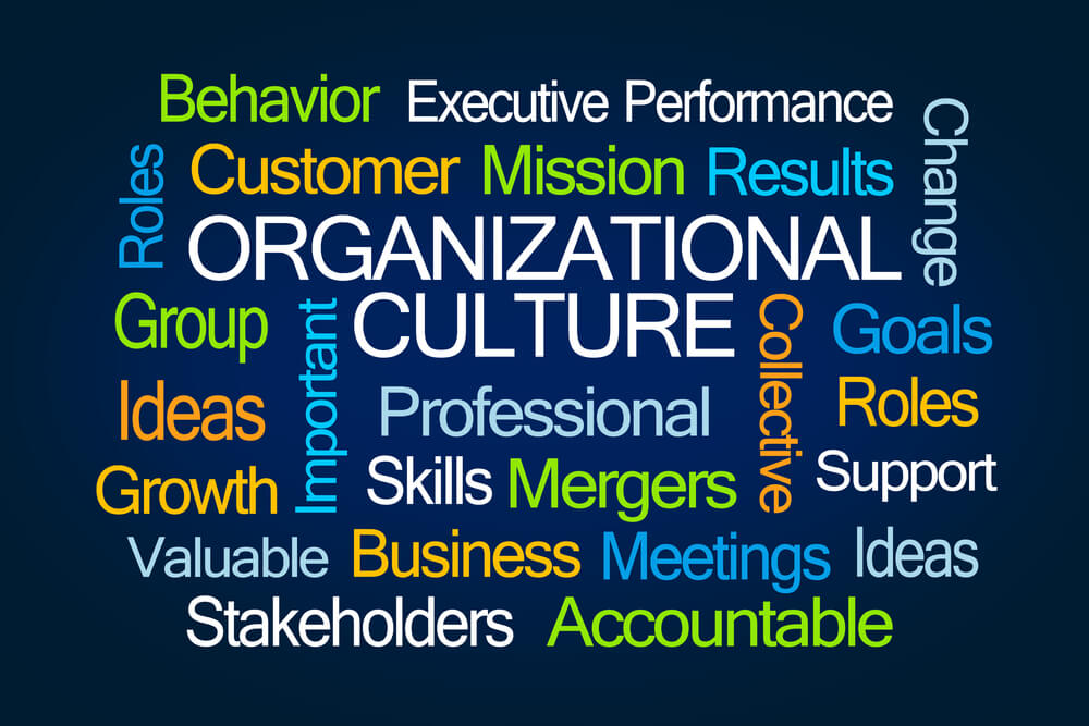 passos importantes para cultura organizacional da empresa
