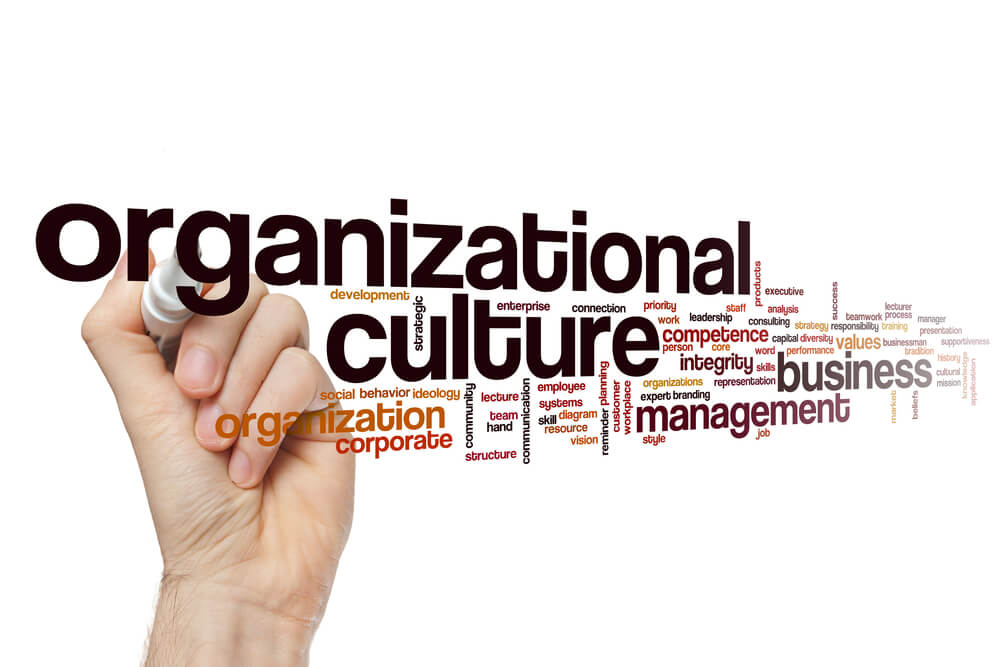 termos relacionados a cultura organizaconal