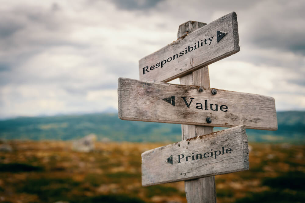 valores e passos importante a cultura organizacional