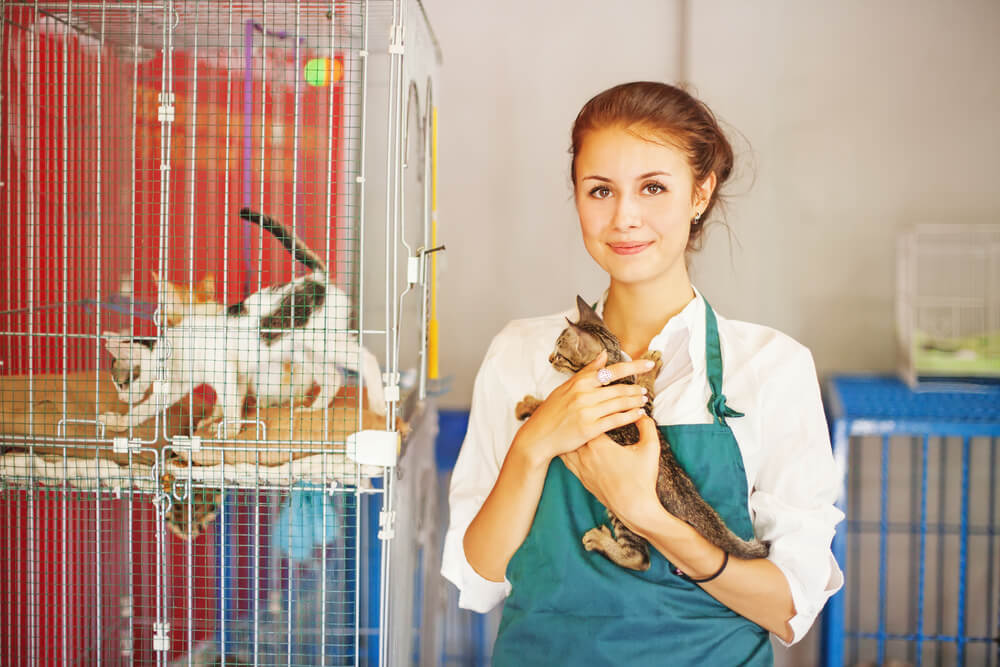 atendente de pet shop segurando pet ao lado de gaiola com gatos para doaçao