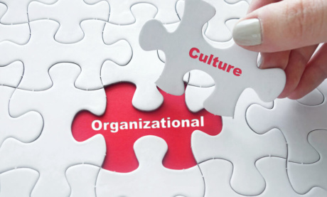 Tipos de Cultura Organizacional: Quais São e Como Identificar Cada Um