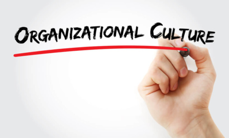 O Que é Cultura Organizacional: Tipos, Exemplos e Importância