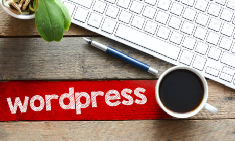 O Que é WordPress: Entenda Como Usar e Como Otimizar